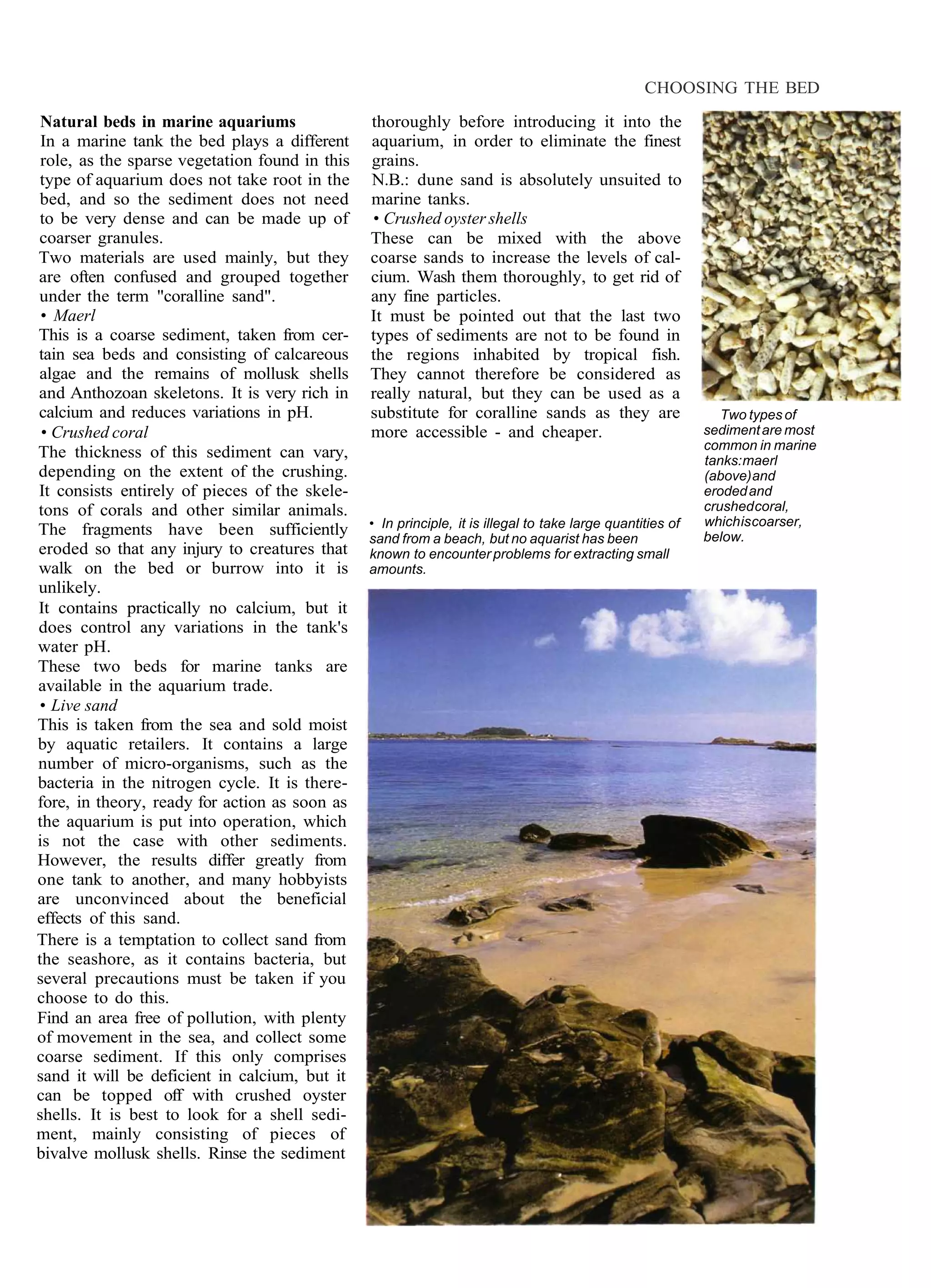 CHOOSING THE BED
 Natural beds in marine aquariums               thoroughly before introducing it into the
 In a marine tank the bed plays a different     aquarium, in order to eliminate the finest
 role, as the sparse vegetation found in this   grains.
 type of aquarium does not take root in the     N.B.: dune sand is absolutely unsuited to
 bed, and so the sediment does not need         marine tanks.
 to be very dense and can be made up of         • Crushed oyster shells
coarser granules.                               These can be mixed with the above
Two materials are used mainly, but they         coarse sands to increase the levels of cal-
are often confused and grouped together         cium. Wash them thoroughly, to get rid of
under the term "coralline sand".                any fine particles.
 • Maerl                                        It must be pointed out that the last two
This is a coarse sediment, taken from cer-      types of sediments are not to be found in
tain sea beds and consisting of calcareous      the regions inhabited by tropical fish.
algae and the remains of mollusk shells         They cannot therefore be considered as
and Anthozoan skeletons. It is very rich in     really natural, but they can be used as a
calcium and reduces variations in pH.           substitute for coralline sands as they are                     Two types of
 • Crushed coral                                more accessible - and cheaper.                              sediment are most
                                                                                                            common in marine
The thickness of this sediment can vary,                                                                    tanks: maerl
depending on the extent of the crushing.                                                                    (above) and
It consists entirely of pieces of the skele-                                                                eroded and
tons of corals and other similar animals.                                                                   crushed coral,
                                                • In principle, it is illegal to take large quantities of   which is coarser,
The fragments have been sufficiently                                                                        below.
                                                sand from a beach, but no aquarist has been
eroded so that any injury to creatures that     known to encounter problems for extracting small
walk on the bed or burrow into it is            amounts.
unlikely.
It contains practically no calcium, but it
does control any variations in the tank's
water pH.
These two beds for marine tanks are
available in the aquarium trade.
 • Live sand
This is taken from the sea and sold moist
by aquatic retailers. It contains a large
number of micro-organisms, such as the
bacteria in the nitrogen cycle. It is there-
fore, in theory, ready for action as soon as
the aquarium is put into operation, which
is not the case with other sediments.
However, the results differ greatly from
one tank to another, and many hobbyists
are unconvinced about the beneficial
effects of this sand.
There is a temptation to collect sand from
the seashore, as it contains bacteria, but
several precautions must be taken if you
choose to do this.
Find an area free of pollution, with plenty
of movement in the sea, and collect some
coarse sediment. If this only comprises
sand it will be deficient in calcium, but it
can be topped off with crushed oyster
shells. It is best to look for a shell sedi-
ment, mainly consisting of pieces of
bivalve mollusk shells. Rinse the sediment
 