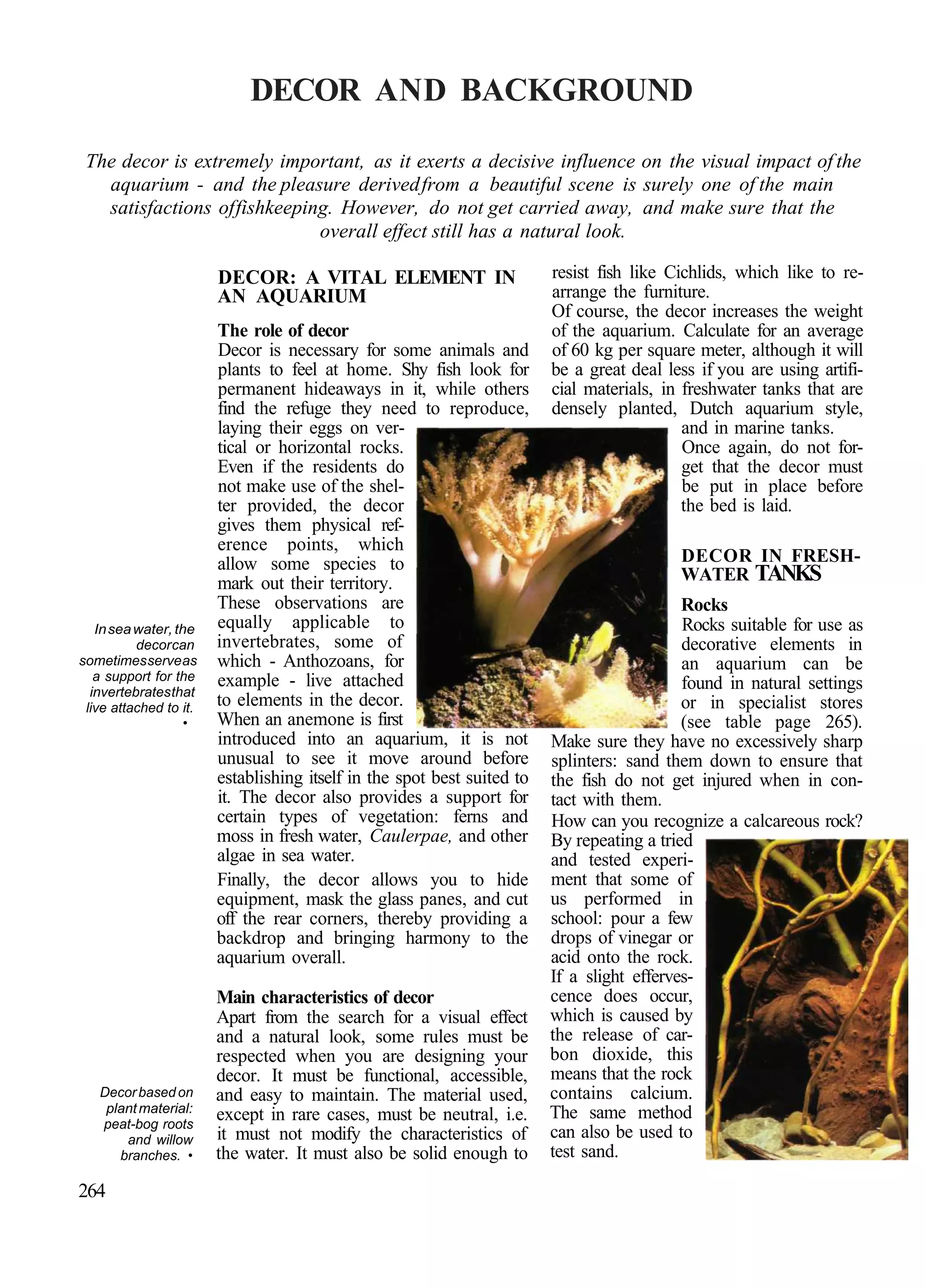 DECOR AND BACKGROUND

 The decor is extremely important, as it exerts a decisive influence on the visual impact of the
   aquarium - and the pleasure derived from a beautiful scene is surely one of the main
   satisfactions of fishkeeping. However, do not get carried away, and make sure that the
                              overall effect still has a natural look.

                        DECOR: A VITAL ELEMENT IN                        resist fish like Cichlids, which like to re-
                        AN AQUARIUM                                      arrange the furniture.
                                                                         Of course, the decor increases the weight
                        The role of decor                                of the aquarium. Calculate for an average
                        Decor is necessary for some animals and          of 60 kg per square meter, although it will
                        plants to feel at home. Shy fish look for        be a great deal less if you are using artifi-
                        permanent hideaways in it, while others          cial materials, in freshwater tanks that are
                        find the refuge they need to reproduce,          densely planted, Dutch aquarium style,
                        laying their eggs on ver-                                           and in marine tanks.
                        tical or horizontal rocks.                                          Once again, do not for-
                        Even if the residents do                                            get that the decor must
                        not make use of the shel-                                           be put in place before
                        ter provided, the decor                                             the bed is laid.
                        gives them physical ref-
                        erence points, which
                        allow some species to                                              DECOR IN FRESH-
                        mark out their territory.                                          WATER TANKS
                        These observations are                                              Rocks
   In sea water, the    equally applicable to                                               Rocks suitable for use as
          decor can     invertebrates, some of                                              decorative elements in
sometimes serve as      which - Anthozoans, for                                             an aquarium can be
   a support for the    example - live attached
  invertebrates that
                                                                                            found in natural settings
 live attached to it.   to elements in the decor.                                           or in specialist stores
                   •    When an anemone is first                                            (see table page 265).
                        introduced into an aquarium, it is not           Make sure they have no excessively sharp
                        unusual to see it move around before             splinters: sand them down to ensure that
                        establishing itself in the spot best suited to   the fish do not get injured when in con-
                        it. The decor also provides a support for        tact with them.
                        certain types of vegetation: ferns and           How can you recognize a calcareous rock?
                        moss in fresh water, Caulerpae, and other        By repeating a tried
                        algae in sea water.                              and tested experi-
                        Finally, the decor allows you to hide            ment that some of
                        equipment, mask the glass panes, and cut         us performed in
                        off the rear corners, thereby providing a        school: pour a few
                        backdrop and bringing harmony to the             drops of vinegar or
                        aquarium overall.                                acid onto the rock.
                                                                         If a slight efferves-
                        Main characteristics of decor                    cence does occur,
                        Apart from the search for a visual effect        which is caused by
                        and a natural look, some rules must be           the release of car-
                        respected when you are designing your            bon dioxide, this
                        decor. It must be functional, accessible,        means that the rock
   Decor based on       and easy to maintain. The material used,         contains calcium.
    plant material:                                                      The same method
   peat-bog roots
                        except in rare cases, must be neutral, i.e.
       and willow       it must not modify the characteristics of        can also be used to
      branches. •       the water. It must also be solid enough to       test sand.

264
 