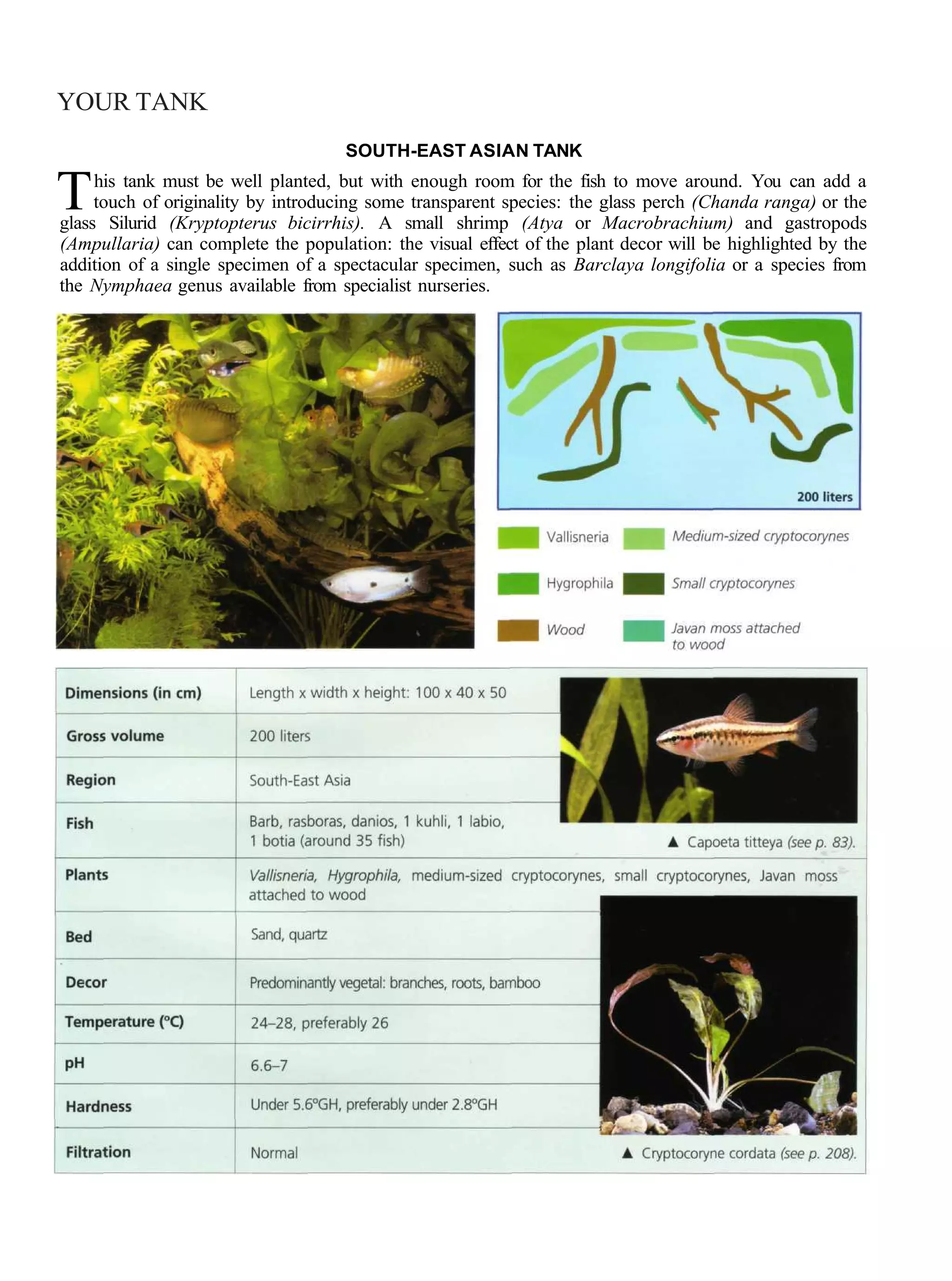 YOUR TANK
                                     SOUTH-EAST ASIAN TANK

T    his tank must be well planted, but with enough room for the fish to move around. You can add a
     touch of originality by introducing some transparent species: the glass perch (Chanda ranga) or the
glass Silurid (Kryptopterus bicirrhis). A small shrimp (Atya or Macrobrachium) and gastropods
(Ampullaria) can complete the population: the visual effect of the plant decor will be highlighted by the
addition of a single specimen of a spectacular specimen, such as Barclaya longifolia or a species from
the Nymphaea genus available from specialist nurseries.
 