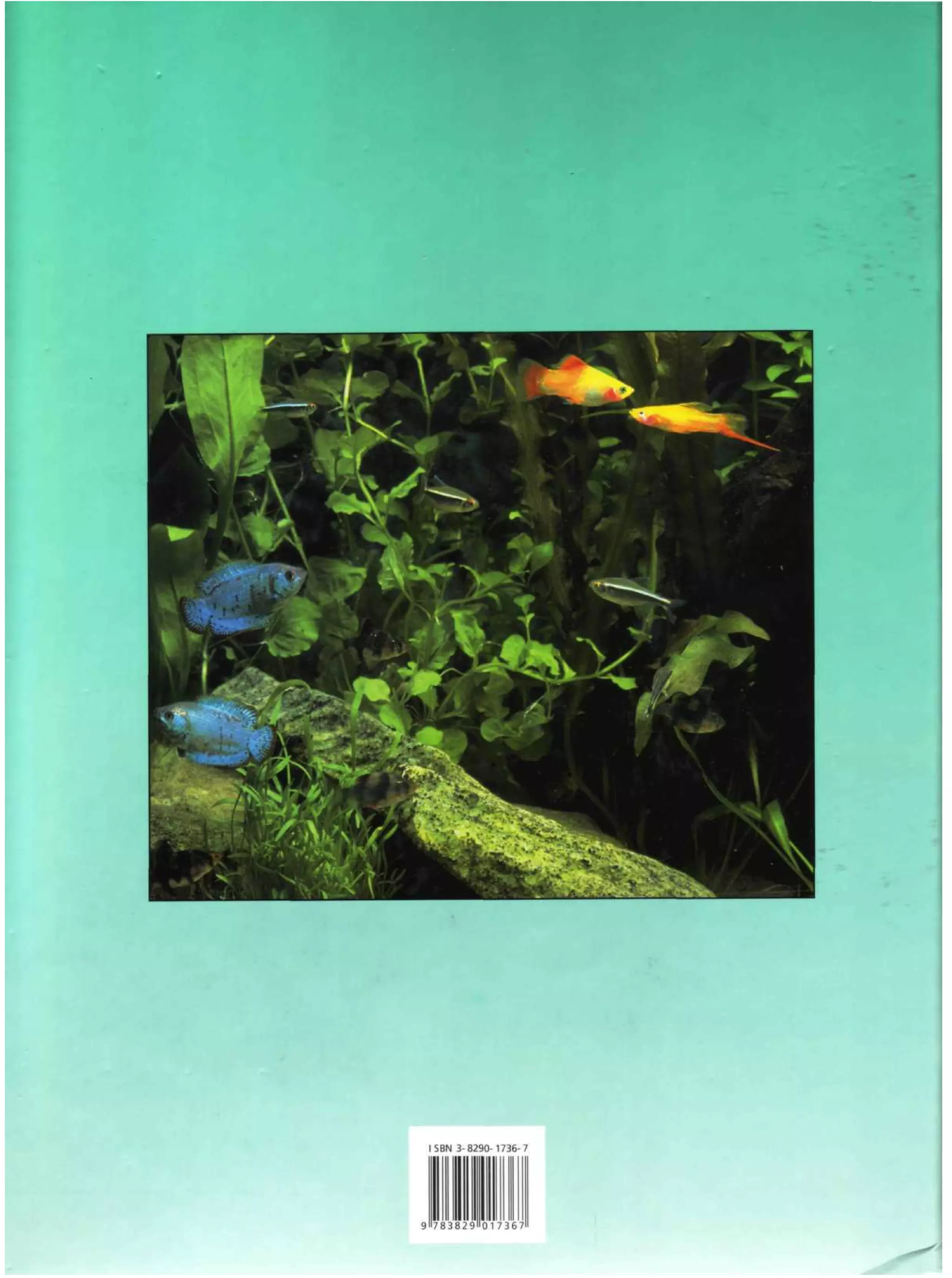 The Complete Aquarium Guide