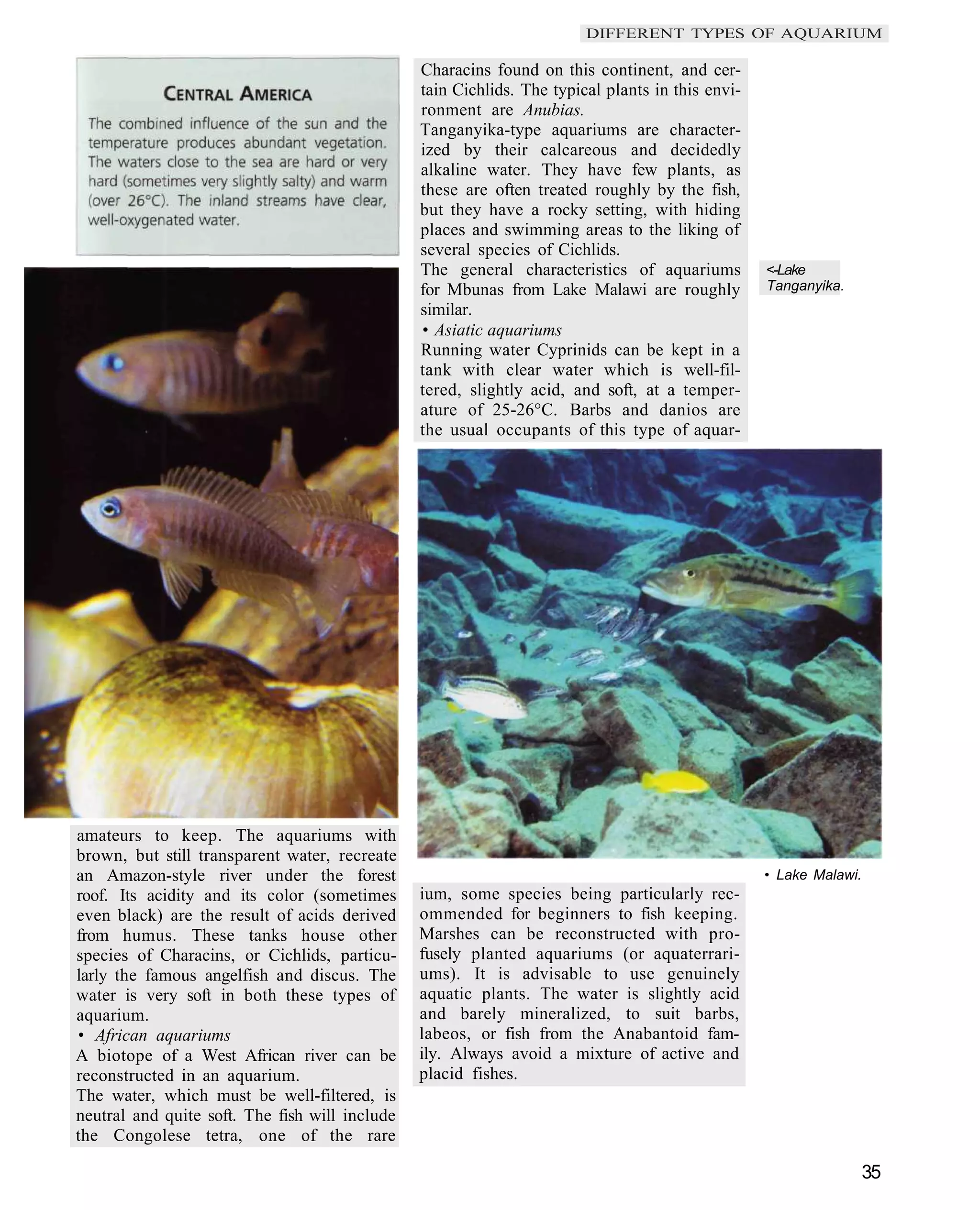 DIFFERENT TYPES OF AQUARIUM

                                                Characins found on this continent, and cer-
                                                tain Cichlids. The typical plants in this envi-
                                                ronment are Anubias.
                                                Tanganyika-type aquariums are character-
                                                ized by their calcareous and decidedly
                                                alkaline water. They have few plants, as
                                                these are often treated roughly by the fish,
                                                but they have a rocky setting, with hiding
                                                places and swimming areas to the liking of
                                                several species of Cichlids.
                                                The general characteristics of aquariums          <-Lake
                                                for Mbunas from Lake Malawi are roughly           Tanganyika.
                                                similar.
                                                • Asiatic aquariums
                                                Running water Cyprinids can be kept in a
                                                tank with clear water which is well-fil-
                                                tered, slightly acid, and soft, at a temper-
                                                ature of 25-26°C. Barbs and danios are
                                                the usual occupants of this type of aquar-




amateurs to keep. The aquariums with
brown, but still transparent water, recreate
an Amazon-style river under the forest                                                            • Lake Malawi.
roof. Its acidity and its color (sometimes      ium, some species being particularly rec-
even black) are the result of acids derived     ommended for beginners to fish keeping.
from humus. These tanks house other             Marshes can be reconstructed with pro-
species of Characins, or Cichlids, particu-     fusely planted aquariums (or aquaterrari-
larly the famous angelfish and discus. The      ums). It is advisable to use genuinely
water is very soft in both these types of       aquatic plants. The water is slightly acid
aquarium.                                       and barely mineralized, to suit barbs,
• African aquariums                             labeos, or fish from the Anabantoid fam-
A biotope of a West African river can be        ily. Always avoid a mixture of active and
reconstructed in an aquarium.                   placid fishes.
The water, which must be well-filtered, is
neutral and quite soft. The fish will include
the Congolese tetra, one of the rare

                                                                                                                   35
 