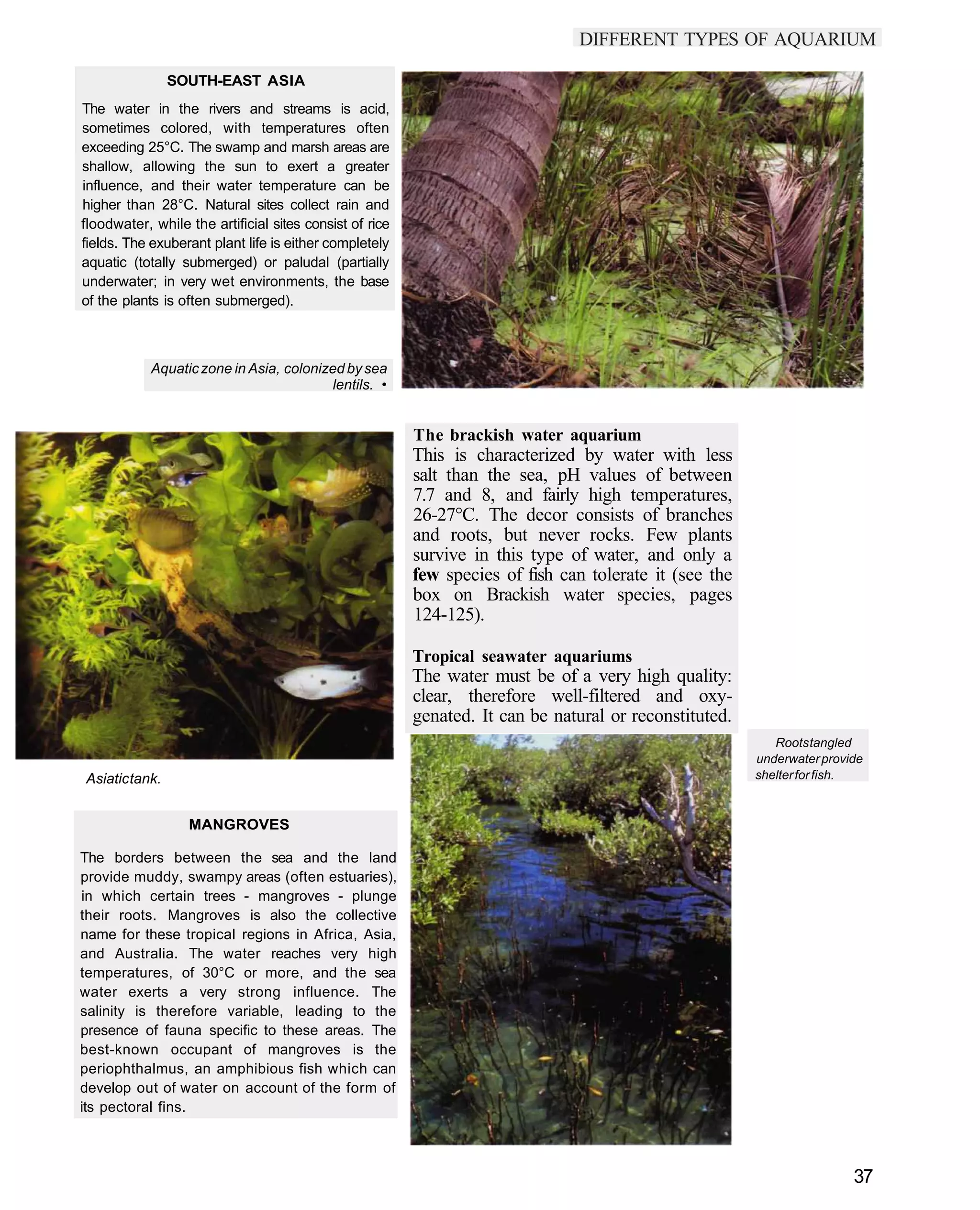 DIFFERENT TYPES OF AQUARIUM

                SOUTH-EAST ASIA
The water in the rivers and streams is acid,
sometimes colored, with temperatures often
exceeding 25°C. The swamp and marsh areas are
shallow, allowing the sun to exert a greater
influence, and their water temperature can be
higher than 28°C. Natural sites collect rain and
floodwater, while the artificial sites consist of rice
fields. The exuberant plant life is either completely
aquatic (totally submerged) or paludal (partially
underwater; in very wet environments, the base
of the plants is often submerged).



            Aquatic zone in Asia, colonized by sea
                                          lentils. •


                                                         The brackish water aquarium
                                                         This is characterized by water with less
                                                         salt than the sea, pH values of between
                                                         7.7 and 8, and fairly high temperatures,
                                                         26-27°C. The decor consists of branches
                                                         and roots, but never rocks. Few plants
                                                         survive in this type of water, and only a
                                                         few species of fish can tolerate it (see the
                                                         box on Brackish water species, pages
                                                         124-125).

                                                         Tropical seawater aquariums
                                                         The water must be of a very high quality:
                                                         clear, therefore well-filtered and oxy-
                                                         genated. It can be natural or reconstituted.
                                                                                                           Roots tangled
                                                                                                        underwater provide
Asiatic tank.                                                                                           shelter for fish.


                  MANGROVES

The borders between the sea and the land
provide muddy, swampy areas (often estuaries),
in which certain trees - mangroves - plunge
their roots. Mangroves is also the collective
name for these tropical regions in Africa, Asia,
and Australia. The water reaches very high
temperatures, of 30°C or more, and the sea
water exerts a very strong influence. The
salinity is therefore variable, leading to the
presence of fauna specific to these areas. The
best-known occupant of mangroves is the
periophthalmus, an amphibious fish which can
develop out of water on account of the form of
its pectoral fins.



                                                                                                                        37
 