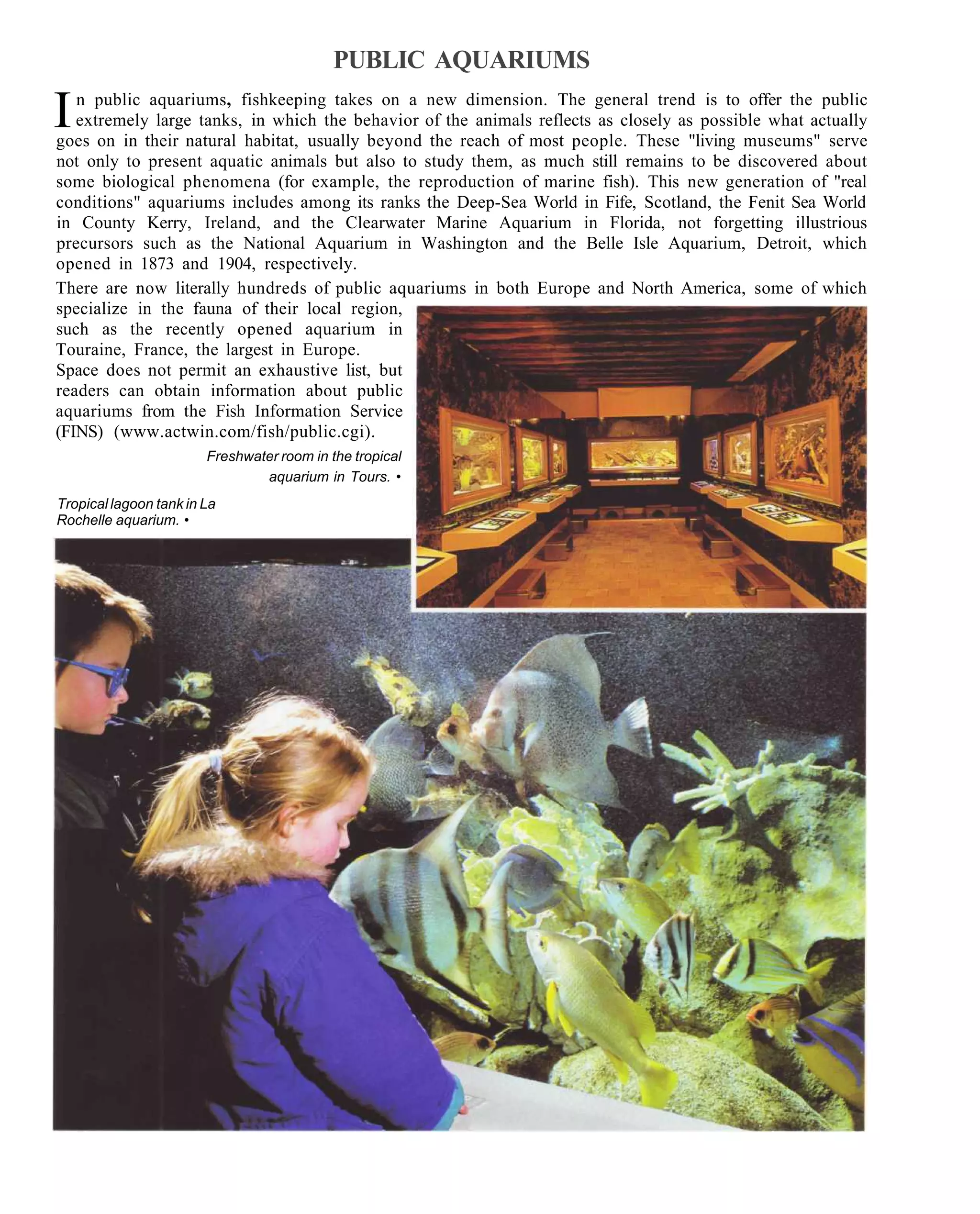 PUBLIC AQUARIUMS

I  n public aquariums, fishkeeping takes on a new dimension. The general trend is to offer the public
   extremely large tanks, in which the behavior of the animals reflects as closely as possible what actually
goes on in their natural habitat, usually beyond the reach of most people. These "living museums" serve
not only to present aquatic animals but also to study them, as much still remains to be discovered about
some biological phenomena (for example, the reproduction of marine fish). This new generation of "real
conditions" aquariums includes among its ranks the Deep-Sea World in Fife, Scotland, the Fenit Sea World
in County Kerry, Ireland, and the Clearwater Marine Aquarium in Florida, not forgetting illustrious
precursors such as the National Aquarium in Washington and the Belle Isle Aquarium, Detroit, which
opened in 1873 and 1904, respectively.
There are now literally hundreds of public aquariums in both Europe and North America, some of which
specialize in the fauna of their local region,
such as the recently opened aquarium in
Touraine, France, the largest in Europe.
Space does not permit an exhaustive list, but
readers can obtain information about public
aquariums from the Fish Information Service
(FINS) (www.actwin.com/fish/public.cgi).
                        Freshwater room in the tropical
                                aquarium in Tours. •
Tropical lagoon tank in La
Rochelle aquarium. •
 