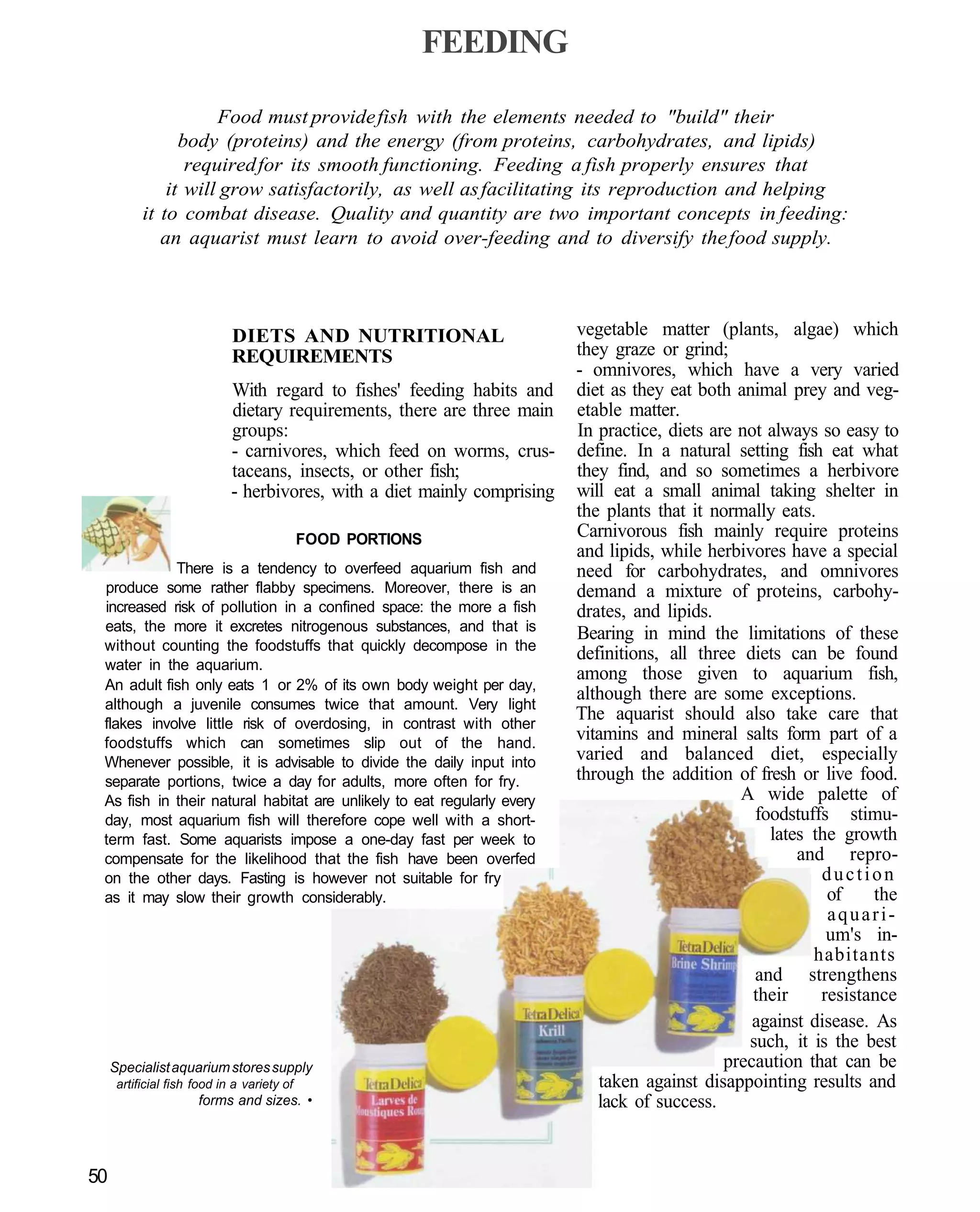 FEEDING

                      Food must provide fish with the elements needed to "build" their
                 body (proteins) and the energy (from proteins, carbohydrates, and lipids)
                  required for its smooth functioning. Feeding a fish properly ensures that
               it will grow satisfactorily, as well as facilitating its reproduction and helping
           it to combat disease. Quality and quantity are two important concepts in feeding:
              an aquarist must learn to avoid over-feeding and to diversify the food supply.



                             DIETS AND NUTRITIONAL                         vegetable matter (plants, algae) which
                             REQUIREMENTS                                  they graze or grind;
                                                                           - omnivores, which have a very varied
                             With regard to fishes' feeding habits and     diet as they eat both animal prey and veg-
                             dietary requirements, there are three main    etable matter.
                             groups:                                       In practice, diets are not always so easy to
                             - carnivores, which feed on worms, crus-      define. In a natural setting fish eat what
                             taceans, insects, or other fish;              they find, and so sometimes a herbivore
                             - herbivores, with a diet mainly comprising   will eat a small animal taking shelter in
                                                                           the plants that it normally eats.
                                             FOOD PORTIONS                 Carnivorous fish mainly require proteins
                                                                           and lipids, while herbivores have a special
            There is a tendency to overfeed aquarium fish and              need for carbohydrates, and omnivores
 produce some rather flabby specimens. Moreover, there is an               demand a mixture of proteins, carbohy-
 increased risk of pollution in a confined space: the more a fish          drates, and lipids.
 eats, the more it excretes nitrogenous substances, and that is            Bearing in mind the limitations of these
 without counting the foodstuffs that quickly decompose in the
                                                                           definitions, all three diets can be found
 water in the aquarium.
                                                                           among those given to aquarium fish,
 An adult fish only eats 1 or 2% of its own body weight per day,
                                                                           although there are some exceptions.
 although a juvenile consumes twice that amount. Very light
 flakes involve little risk of overdosing, in contrast with other
                                                                           The aquarist should also take care that
 foodstuffs which can sometimes slip out of the hand.
                                                                           vitamins and mineral salts form part of a
 Whenever possible, it is advisable to divide the daily input into         varied and balanced diet, especially
 separate portions, twice a day for adults, more often for fry.            through the addition of fresh or live food.
 As fish in their natural habitat are unlikely to eat regularly every                             A wide palette of
 day, most aquarium fish will therefore cope well with a short-                                     foodstuffs stimu-
 term fast. Some aquarists impose a one-day fast per week to                                          lates the growth
 compensate for the likelihood that the fish have been overfed                                            and repro-
 on the other days. Fasting is however not suitable for fry                                                  duction
 as it may slow their growth considerably.                                                                    of     the
                                                                                                              aquari-
                                                                                                              um's in-
                                                                                                            habitants
                                                                                                    and strengthens
                                                                                                    their    resistance
                                                                                                    against disease. As
                                                                                                   such, it is the best
     Specialist aquarium stores supply                                                          precaution that can be
      artificial fish food in a variety of                                    taken against disappointing results and
                      forms and sizes. •                                      lack of success.


50
 