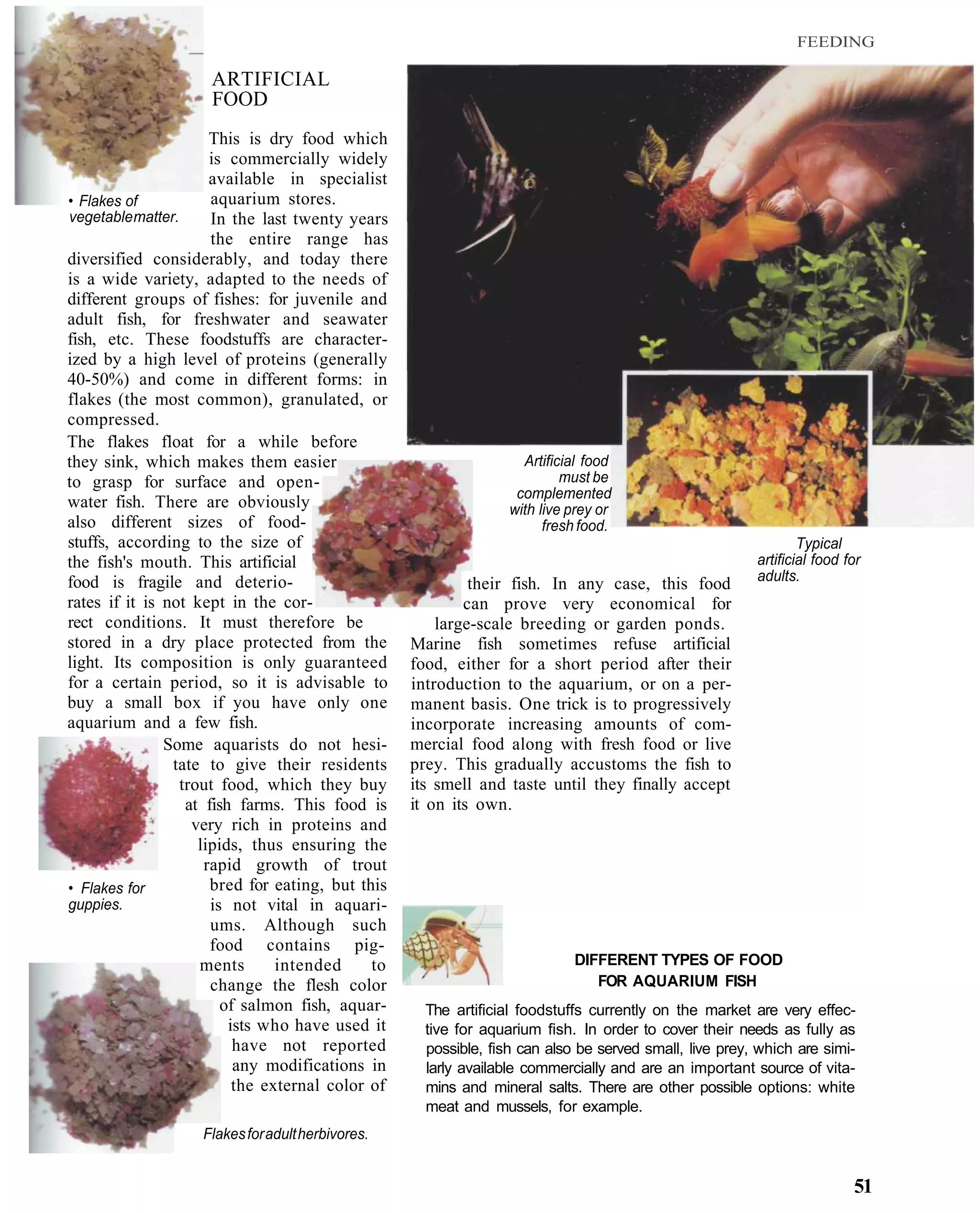 FEEDING

                     ARTIFICIAL
                     FOOD
                       This is dry food which
                       is commercially widely
                       available in specialist
• Flakes of            aquarium stores.
vegetable matter.      In the last twenty years
                       the entire range has
diversified considerably, and today there
is a wide variety, adapted to the needs of
different groups of fishes: for juvenile and
adult fish, for freshwater and seawater
fish, etc. These foodstuffs are character-
ized by a high level of proteins (generally
40-50%) and come in different forms: in
flakes (the most common), granulated, or
compressed.
The flakes float for a while before
they sink, which makes them easier                                  Artificial food
to grasp for surface and open-                                             must be
                                                                   complemented
water fish. There are obviously                                   with live prey or
also different sizes of food-                                           fresh food.
stuffs, according to the size of                                                                                Typical
the fish's mouth. This artificial                                                                       artificial food for
food is fragile and deterio-                                                                            adults.
                                                            their fish. In any case, this food
rates if it is not kept in the cor-                        can prove very economical for
rect conditions. It must therefore be                  large-scale breeding or garden ponds.
stored in a dry place protected from the           Marine fish sometimes refuse artificial
light. Its composition is only guaranteed          food, either for a short period after their
for a certain period, so it is advisable to        introduction to the aquarium, or on a per-
buy a small box if you have only one               manent basis. One trick is to progressively
aquarium and a few fish.                           incorporate increasing amounts of com-
               Some aquarists do not hesi-         mercial food along with fresh food or live
                tate to give their residents       prey. This gradually accustoms the fish to
                  trout food, which they buy       its smell and taste until they finally accept
                   at fish farms. This food is     it on its own.
                    very rich in proteins and
                     lipids, thus ensuring the
                      rapid growth of trout
• Flakes for           bred for eating, but this
guppies.               is not vital in aquari-
                       ums. Although such
                       food contains pig-
                     ments       intended     to                            DIFFERENT TYPES OF FOOD
                       change the flesh color                                  FOR AQUARIUM FISH
                         of salmon fish, aquar-      The artificial foodstuffs currently on the market are very effec-
                          ists who have used it      tive for aquarium fish. In order to cover their needs as fully as
                           have not reported         possible, fish can also be served small, live prey, which are simi-
                           any modifications in      larly available commercially and are an important source of vita-
                           the external color of     mins and mineral salts. There are other possible options: white
                                                     meat and mussels, for example.
                    Flakes for adult herbivores.


                                                                                                                         51
 