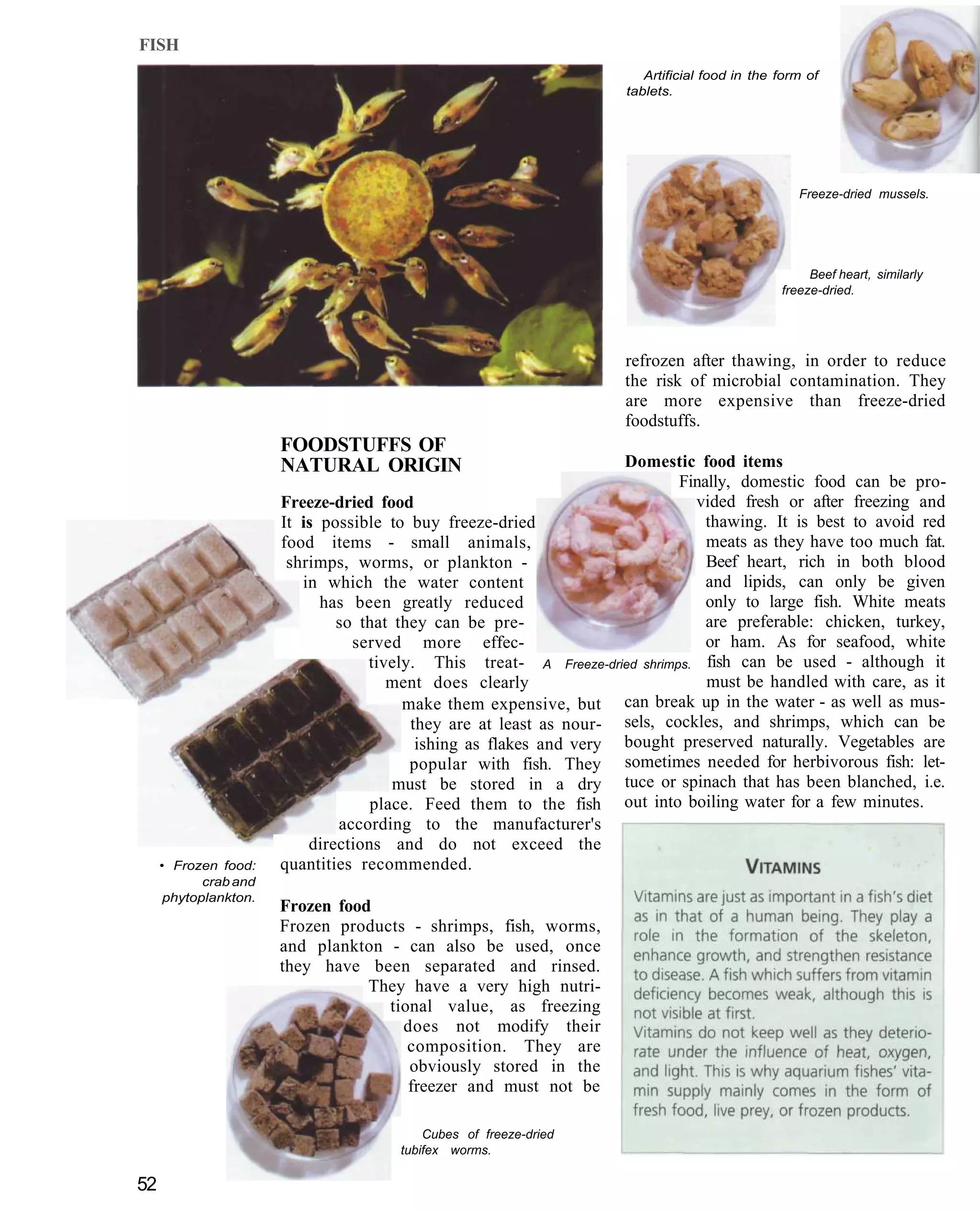 FISH
                                                                        Artificial food in the form of
                                                                     tablets.




                                                                                                  Freeze-dried mussels.




                                                                                                    Beef heart, similarly
                                                                                               freeze-dried.




                                                                     refrozen after thawing, in order to reduce
                                                                     the risk of microbial contamination. They
                                                                     are more expensive than freeze-dried
                                                                     foodstuffs.
                       FOODSTUFFS OF
                       NATURAL ORIGIN                               Domestic food items
                                                                            Finally, domestic food can be pro-
                       Freeze-dried food                                      vided fresh or after freezing and
                       It is possible to buy freeze-dried                       thawing. It is best to avoid red
                       food items - small animals,                              meats as they have too much fat.
                        shrimps, worms, or plankton -                           Beef heart, rich in both blood
                          in which the water content                            and lipids, can only be given
                             has been greatly reduced                           only to large fish. White meats
                               so that they can be pre-                         are preferable: chicken, turkey,
                                 served more effec-                             or ham. As for seafood, white
                                   tively. This treat- A Freeze-dried shrimps. fish can be used - although it
                                      ment does clearly                         must be handled with care, as it
                                        make them expensive, but can break up in the water - as well as mus-
                                         they are at least as nour- sels, cockles, and shrimps, which can be
                                          ishing as flakes and very bought preserved naturally. Vegetables are
                                         popular with fish. They sometimes needed for herbivorous fish: let-
                                       must be stored in a dry tuce or spinach that has been blanched, i.e.
                                    place. Feed them to the fish out into boiling water for a few minutes.
                               according to the manufacturer's
                           directions and do not exceed the
     • Frozen food:    quantities recommended.
            crab and
      phytoplankton.
                       Frozen food
                       Frozen products - shrimps, fish, worms,
                       and plankton - can also be used, once
                       they have been separated and rinsed.
                                  They have a very high nutri-
                                    tional value, as freezing
                                      does not modify their
                                       composition. They are
                                       obviously stored in the
                                       freezer and must not be

                                           Cubes of freeze-dried
                                       tubifex worms.

52
 