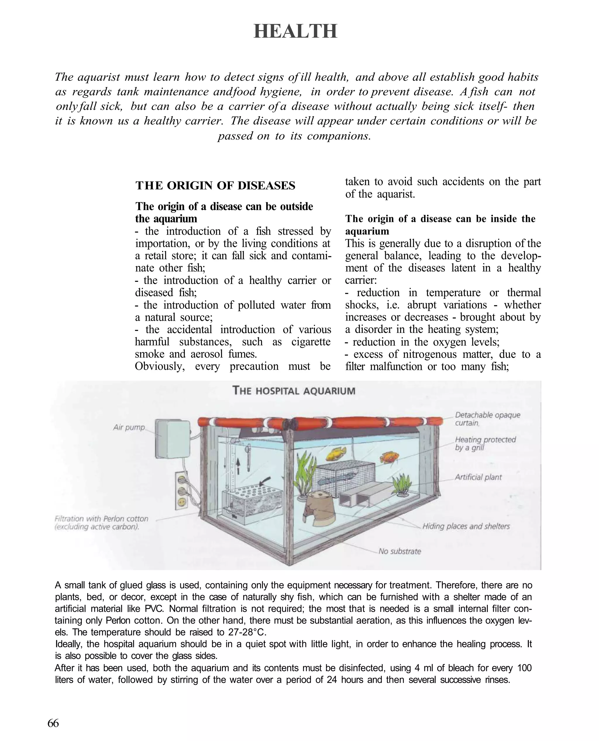 HEALTH

 The aquarist must learn how to detect signs of ill health, and above all establish good habits
 as regards tank maintenance and food hygiene, in order to prevent disease. A fish can not
 only fall sick, but can also be a carrier of a disease without actually being sick itself- then
 it is known us a healthy carrier. The disease will appear under certain conditions or will be
                                 passed on to its companions.



                     THE ORIGIN OF DISEASES                              taken to avoid such accidents on the part
                                                                         of the aquarist.
                     The origin of a disease can be outside
                     the aquarium                                        The origin of a disease can be inside the
                     - the introduction of a fish stressed by            aquarium
                     importation, or by the living conditions at         This is generally due to a disruption of the
                     a retail store; it can fall sick and contami-       general balance, leading to the develop-
                     nate other fish;                                    ment of the diseases latent in a healthy
                     - the introduction of a healthy carrier or          carrier:
                     diseased fish;                                      - reduction in temperature or thermal
                     - the introduction of polluted water from           shocks, i.e. abrupt variations - whether
                     a natural source;                                   increases or decreases - brought about by
                     - the accidental introduction of various            a disorder in the heating system;
                     harmful substances, such as cigarette               - reduction in the oxygen levels;
                     smoke and aerosol fumes.                            - excess of nitrogenous matter, due to a
                     Obviously, every precaution must be                 filter malfunction or too many fish;




 A small tank of glued glass is used, containing only the equipment necessary for treatment. Therefore, there are no
 plants, bed, or decor, except in the case of naturally shy fish, which can be furnished with a shelter made of an
 artificial material like PVC. Normal filtration is not required; the most that is needed is a small internal filter con-
 taining only Perlon cotton. On the other hand, there must be substantial aeration, as this influences the oxygen lev-
 els. The temperature should be raised to 27-28°C.
 Ideally, the hospital aquarium should be in a quiet spot with little light, in order to enhance the healing process. It
 is also possible to cover the glass sides.
 After it has been used, both the aquarium and its contents must be disinfected, using 4 ml of bleach for every 100
 liters of water, followed by stirring of the water over a period of 24 hours and then several successive rinses.



66
 