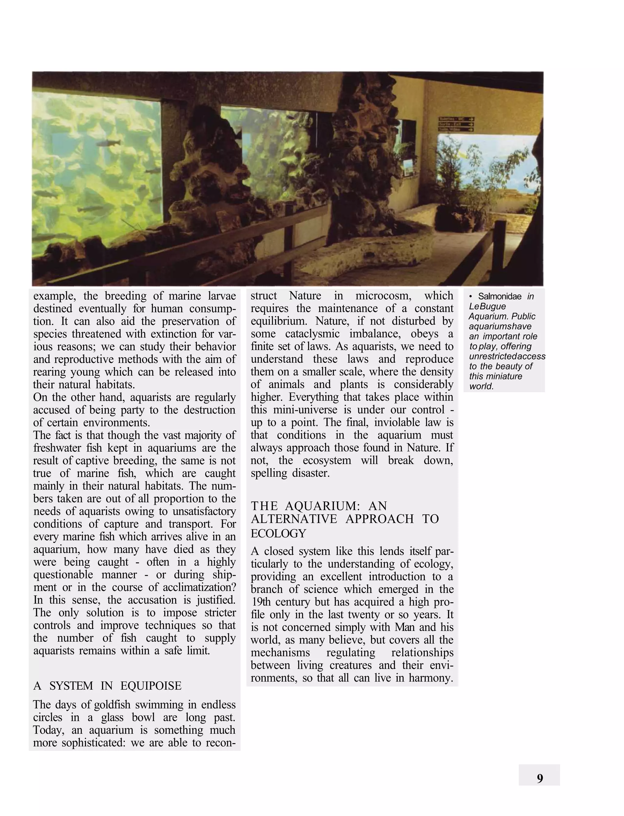 example, the breeding of marine larvae         struct Nature in microcosm, which              • Salmonidae in
destined eventually for human consump-         requires the maintenance of a constant         Le Bugue
                                                                                              Aquarium. Public
tion. It can also aid the preservation of      equilibrium. Nature, if not disturbed by       aquariums have
species threatened with extinction for var-    some cataclysmic imbalance, obeys a            an important role
ious reasons; we can study their behavior      finite set of laws. As aquarists, we need to   to play, offering
and reproductive methods with the aim of       understand these laws and reproduce            unrestricted access
                                                                                              to the beauty of
rearing young which can be released into       them on a smaller scale, where the density     this miniature
their natural habitats.                        of animals and plants is considerably          world.
On the other hand, aquarists are regularly     higher. Everything that takes place within
accused of being party to the destruction      this mini-universe is under our control -
of certain environments.                       up to a point. The final, inviolable law is
The fact is that though the vast majority of   that conditions in the aquarium must
freshwater fish kept in aquariums are the      always approach those found in Nature. If
result of captive breeding, the same is not    not, the ecosystem will break down,
true of marine fish, which are caught          spelling disaster.
mainly in their natural habitats. The num-
bers taken are out of all proportion to the
needs of aquarists owing to unsatisfactory     T H E AQUARIUM: AN
conditions of capture and transport. For       ALTERNATIVE APPROACH TO
every marine fish which arrives alive in an    ECOLOGY
aquarium, how many have died as they           A closed system like this lends itself par-
were being caught - often in a highly          ticularly to the understanding of ecology,
questionable manner - or during ship-          providing an excellent introduction to a
ment or in the course of acclimatization?      branch of science which emerged in the
In this sense, the accusation is justified.    19th century but has acquired a high pro-
The only solution is to impose stricter        file only in the last twenty or so years. It
controls and improve techniques so that        is not concerned simply with Man and his
the number of fish caught to supply            world, as many believe, but covers all the
aquarists remains within a safe limit.         mechanisms regulating relationships
                                               between living creatures and their envi-
                                               ronments, so that all can live in harmony.
A SYSTEM IN EQUIPOISE
The days of goldfish swimming in endless
circles in a glass bowl are long past.
Today, an aquarium is something much
more sophisticated: we are able to recon-

                                                                                                              9
 