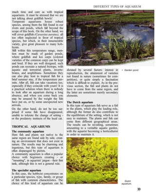 Temperate Fish Types The Complete Aquarium Guide | PDF