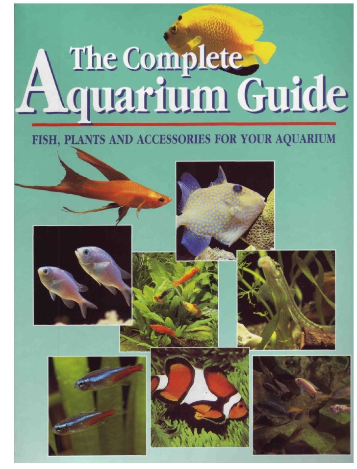The Complete Aquarium Guide Fish Plants And Accessories For Your Aquarium The Complete Aquarium Guide Fish Plants And Accessories For Your Aquarium
