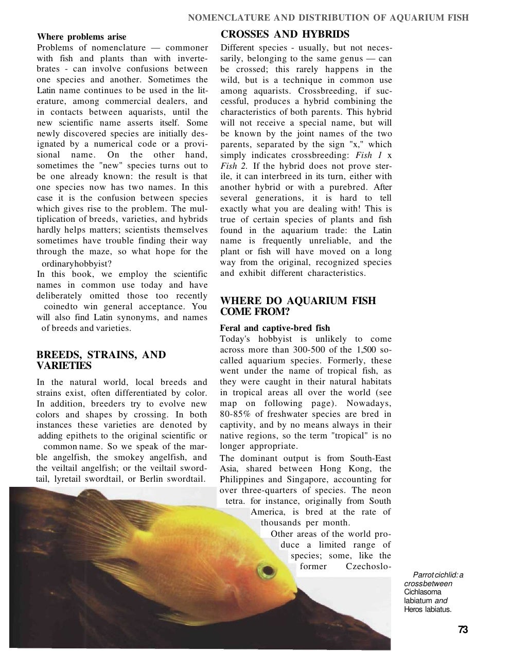 The Complete Aquarium Guide