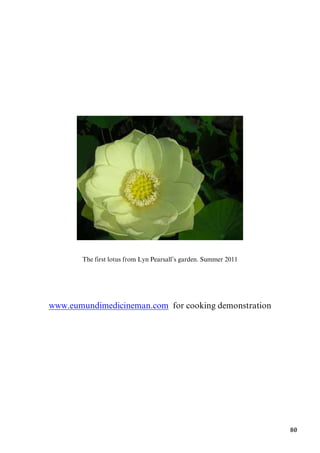 80
The first lotus from Lyn Pearsall’s garden. Summer 2011
Uwww.eumundimedicineman.comU for cooking demonstration
 