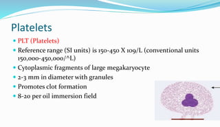 Platelets
 PLT (Platelets)
 Reference range (SI units) is 150-450 X 109/L (conventional units
150,000-450,000/^L)
 Cytoplasmic fragments of large megakaryocyte
 2-3 mm in diameter with granules
 Promotes clot formation
 8-20 per oil immersion field
 