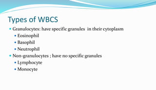 Types of WBCS
 Granulocytes: have specific granules in their cytoplasm
 Eosinophil
 Basophil
 Neutrophil
 Non-granulocytes ; have no specific granules
 Lymphocyte
 Monocyte
 