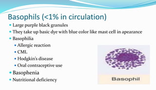 Basophils (<1% in circulation)
 Large purple black granules
 They take up basic dye with blue color like mast cell in apearance
 Basophilia
 Allergic reaction
 CML
 Hodgkin’s disease
 Oral contraceptive use
 Basophenia
 Nutritional deficiency
 