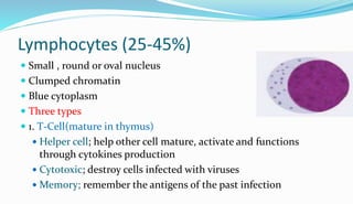 Lymphocytes (25-45%)
 Small , round or oval nucleus
 Clumped chromatin
 Blue cytoplasm
 Three types
 1. T-Cell(mature in thymus)
 Helper cell; help other cell mature, activate and functions
through cytokines production
 Cytotoxic; destroy cells infected with viruses
 Memory; remember the antigens of the past infection
 