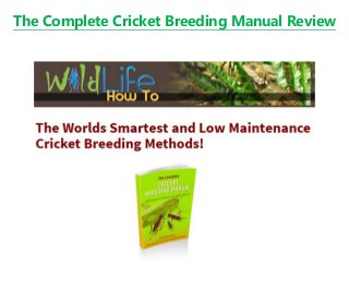 The Complete Cricket Breeding Manual Review
 