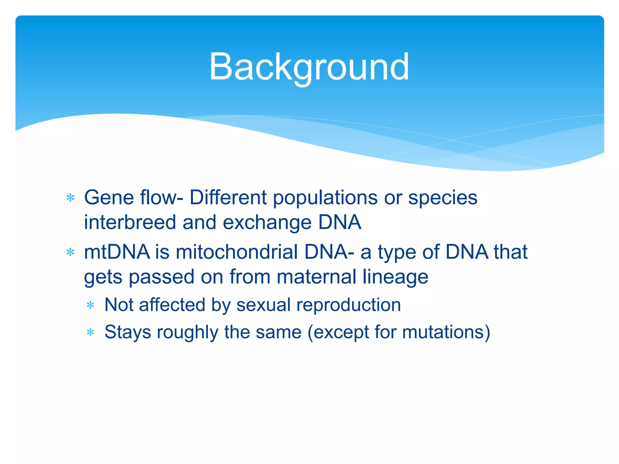  Gene flow- Different populations or species
interbreed and exchange DNA
 mtDNA is mitochondrial DNA- a type of DNA that
gets passed on from maternal lineage
 Not affected by sexual reproduction
 Stays roughly the same (except for mutations)
Background
 