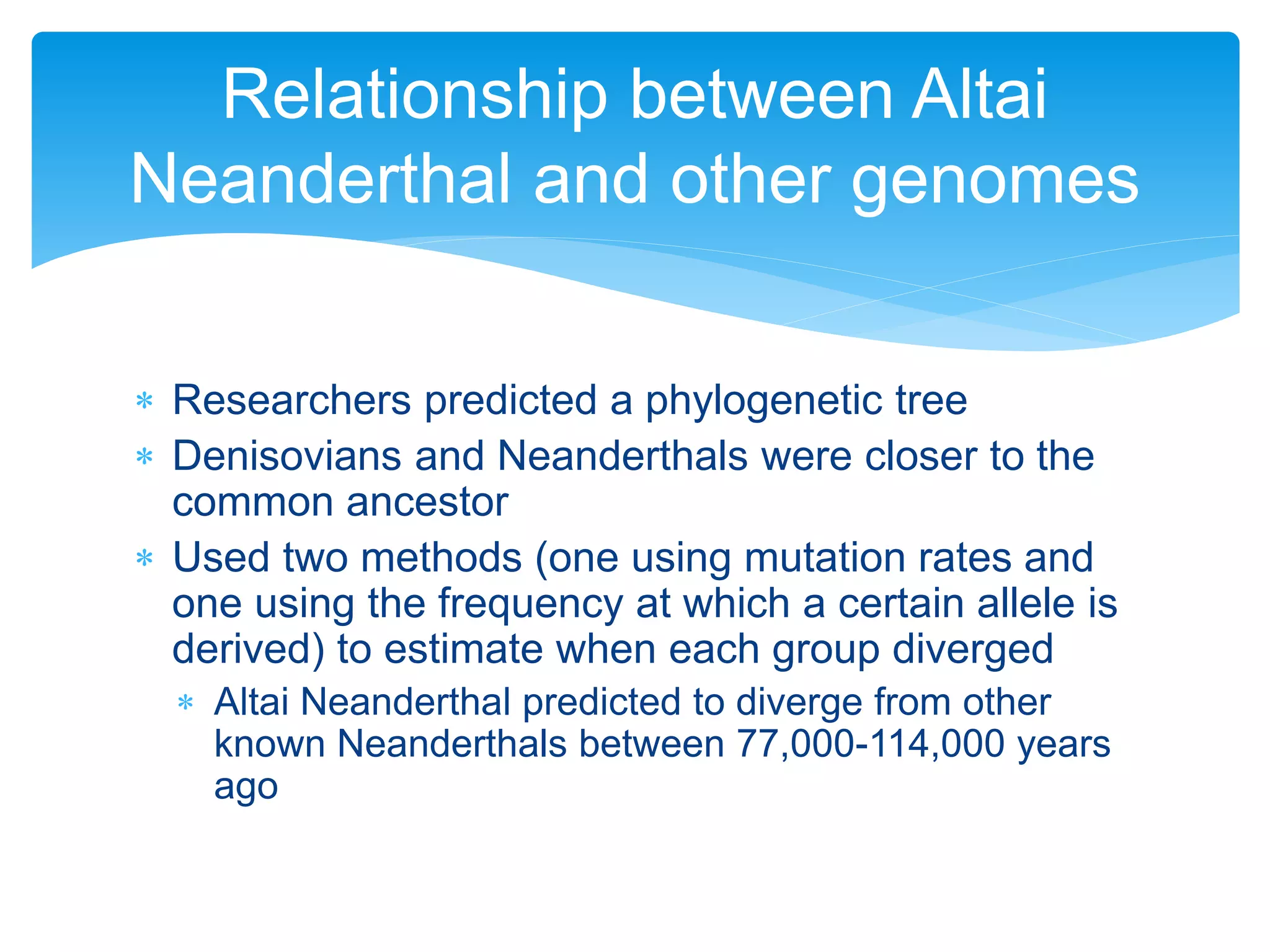  Researchers predicted a phylogenetic tree
 Denisovians and Neanderthals were closer to the
common ancestor
 Used two methods (one using mutation rates and
one using the frequency at which a certain allele is
derived) to estimate when each group diverged
 Altai Neanderthal predicted to diverge from other
known Neanderthals between 77,000-114,000 years
ago
Relationship between Altai
Neanderthal and other genomes
 