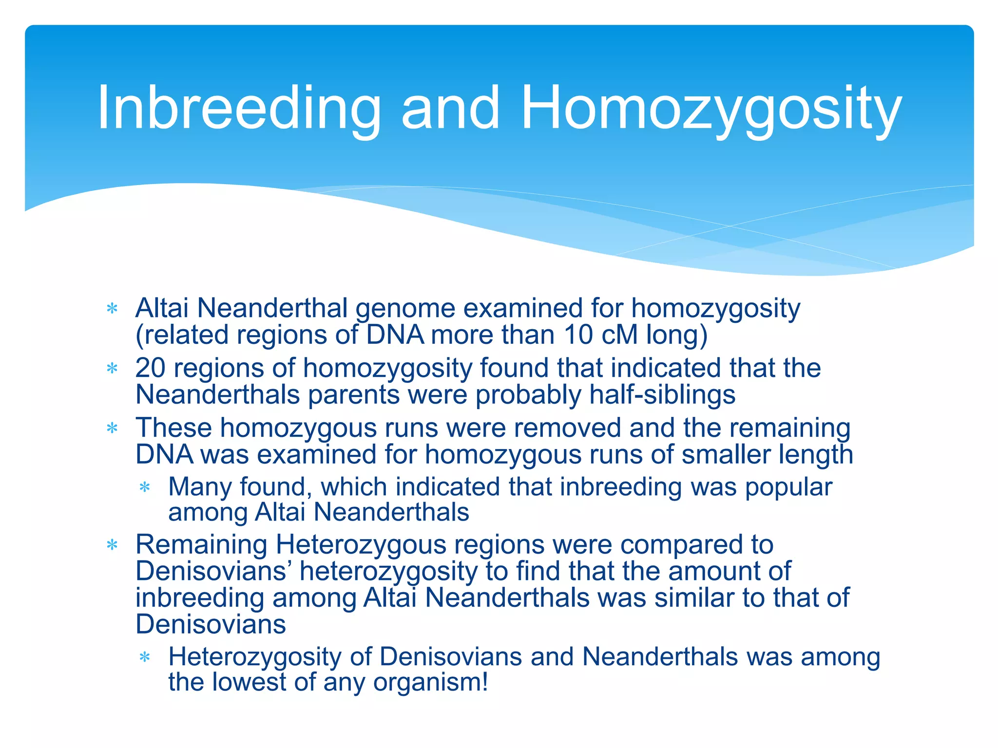  Altai Neanderthal genome examined for homozygosity
(related regions of DNA more than 10 cM long)
 20 regions of homozygosity found that indicated that the
Neanderthals parents were probably half-siblings
 These homozygous runs were removed and the remaining
DNA was examined for homozygous runs of smaller length
 Many found, which indicated that inbreeding was popular
among Altai Neanderthals
 Remaining Heterozygous regions were compared to
Denisovians’ heterozygosity to find that the amount of
inbreeding among Altai Neanderthals was similar to that of
Denisovians
 Heterozygosity of Denisovians and Neanderthals was among
the lowest of any organism!
Inbreeding and Homozygosity
 