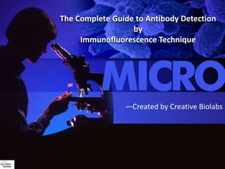 The Complete Guide to Antibody Detection
by
Immunofluorescence Technique
—Created by Creative Biolabs
 