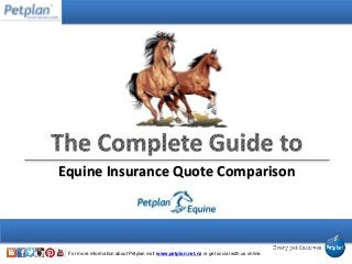 For more information about Petplan visit www.petplan.net.nz or get social with us online.
Equine Insurance Quote Comparison
 