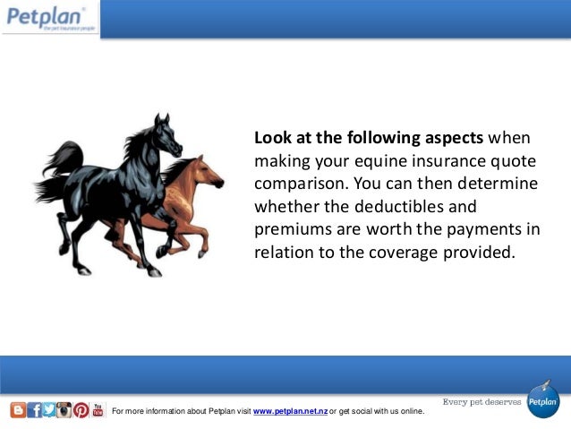 The Complete Guide to Equine Insurance Quote Comparison