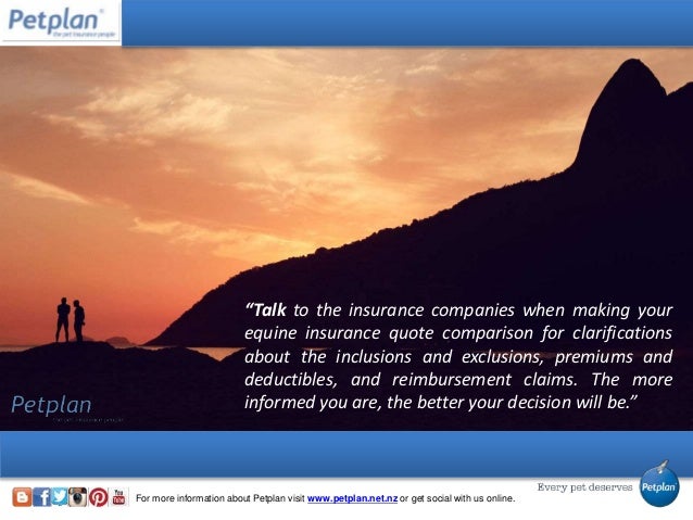 The Complete Guide to Equine Insurance Quote Comparison