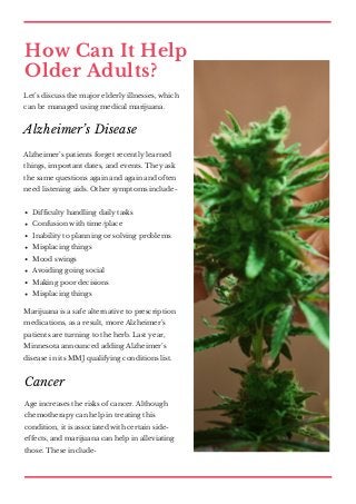 How Can It Help
Older Adults?
Let’s discuss the major elderly illnesses, which
can be managed using medical marijuana.
Alz...