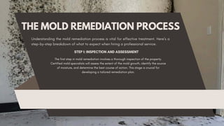 Remediation Process Guide The Complete Guide to Mold Remediation Services in Hackensack, NJ.pdf