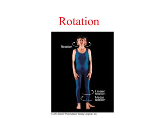 The completemuscular system | PPT