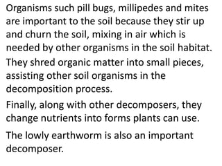Organisms such pill bugs, millipedes and mites
are important to the soil because they stir up
and churn the soil, mixing in air which is
needed by other organisms in the soil habitat.
They shred organic matter into small
pieces, assisting other soil organisms in the
decomposition process.
Finally, along with other decomposers, they
change nutrients into forms plants can use.
The lowly earthworm is also an important
decomposer.
 