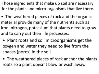 Those ingredients that make up soil are necessary
for the plants and micro-organisms that live there.
• The weathered pieces of rock and the organic
material provide many of the nutrients such as
iron, nitrogen, potassium that plants need to grow
and to carry out their life processes.
 • Plant roots and soil microorganisms get the
 oxygen and water they need to live from the
 spaces (pores) in the soil.
• The weathered pieces of rock anchor the plants
roots so a plant doesn’t blow or wash away.
 