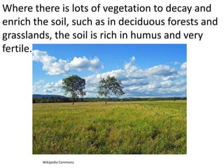 Where there is lots of vegetation to decay and
enrich the soil, such as in deciduous forests and
grasslands, the soil is rich in humus and very
fertile.




         Wikipedia Commons
 