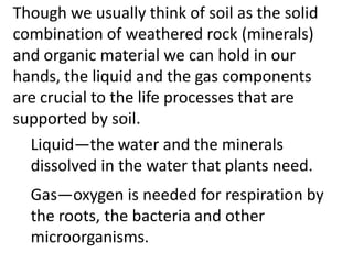 Though we usually think of soil as the solid
combination of weathered rock (minerals)
and organic material we can hold in our
hands, the liquid and the gas components
are crucial to the life processes that are
supported by soil.
  Liquid—the water and the minerals
  dissolved in the water that plants need.
  Gas—oxygen is needed for respiration by
  the roots, the bacteria and other
  microorganisms.
 