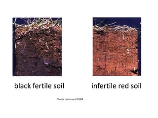 black fertile soil                       infertile red soil
               Photos courtesy of USDA
 