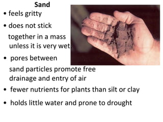 Sand
• feels gritty
• does not stick
  together in a mass
  unless it is very wet.
• pores between
  sand particles promote free
  drainage and entry of air
• fewer nutrients for plants than silt or clay
• holds little water and prone to drought
 