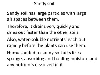 Sandy soil
Sandy soil has large particles with large
air spaces between them.
Therefore, it drains very quickly and
dries out faster than the other soils.
Also, water-soluble nutrients leach out
rapidly before the plants can use them.
Humus added to sandy soil acts like a
sponge, absorbing and holding moisture and
any nutrients dissolved in it.
 