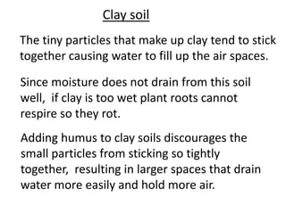 Clay soil
The tiny particles that make up clay tend to stick
together causing water to fill up the air spaces.

Since moisture does not drain from this soil
well, if clay is too wet plant roots cannot
respire so they rot.
Adding humus to clay soils discourages the
small particles from sticking so tightly
together, resulting in larger spaces that drain
water more easily and hold more air.
 