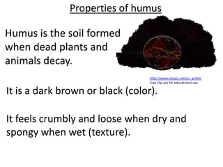 Properties of humus

Humus is the soil formed
when dead plants and
animals decay.
                                  http://www.edupic.net/sci_gr.htm
                                  Free clip are for educational use

It is a dark brown or black (color).

It feels crumbly and loose when dry and
spongy when wet (texture).
 