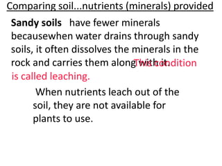 Comparing soil...nutrients (minerals) provided
Sandy soils have fewer minerals
becausewhen water drains through sandy
soils, it often dissolves the minerals in the
rock and carries them along with it.
                              This condition
is called leaching.
       When nutrients leach out of the
      soil, they are not available for
      plants to use.
 