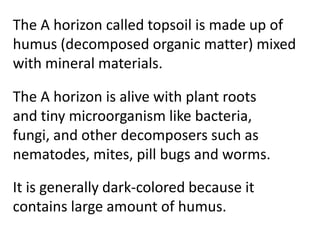 The A horizon called topsoil is made up of
humus (decomposed organic matter) mixed
with mineral materials.

The A horizon is alive with plant roots
and tiny microorganism like bacteria,
fungi, and other decomposers such as
nematodes, mites, pill bugs and worms.

It is generally dark-colored because it
contains large amount of humus.
 