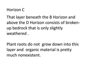 Horizon C
That layer beneath the B Horizon and
above the D Horizon consists of broken-
up bedrock that is only slightly
.
weathered .

Plant roots do not grow down into this
layer and organic material is pretty
much nonexistent.
 