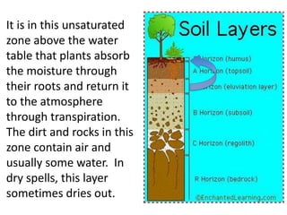 It is in this unsaturated
zone above the water
table that plants absorb
the moisture through
their roots and return it
to the atmosphere
through transpiration.
The dirt and rocks in this
zone contain air and
usually some water. In
dry spells, this layer
sometimes dries out.
 