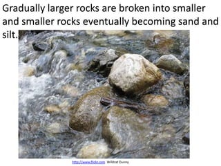 Gradually larger rocks are broken into smaller
and smaller rocks eventually becoming sand and
silt.




              http://www.flickr.com Wildcat Dunny
 