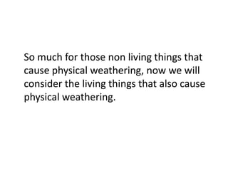 So much for those non living things that
cause physical weathering, now we will
consider the living things that also cause
physical weathering.
 