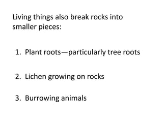 Living things also break rocks into
smaller pieces:


1. Plant roots—particularly tree roots

2. Lichen growing on rocks

3. Burrowing animals
 