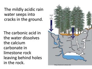 The mildly acidic rain
water seeps into
cracks in the ground.

The carbonic acid in
the water dissolves
the calcium
carbonate in
limestone rock
leaving behind holes
in the rock.             http://www.esi.utexas.edu
 