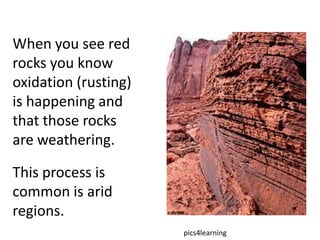 When you see red
rocks you know
oxidation (rusting)
is happening and
that those rocks
are weathering.

This process is
common is arid
regions.
                      pics4learning
 