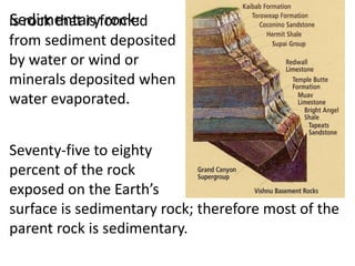 Sedimentary rock:
is rock that is formed
from sediment deposited
by water or wind or
minerals deposited when
water evaporated.


Seventy-five to eighty
percent of the rock
exposed on the Earth’s
surface is sedimentary rock; therefore most of the
parent rock is sedimentary.
 
